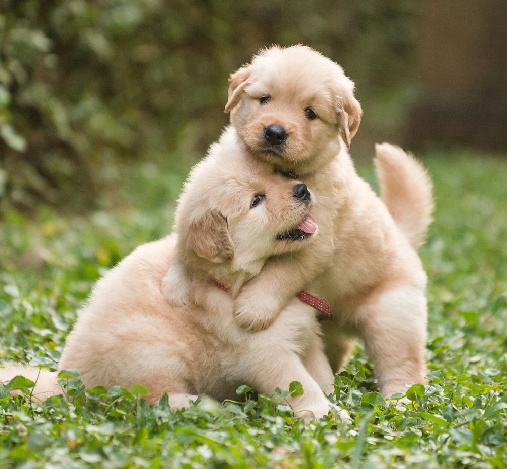 Editorial: December 2, 2022